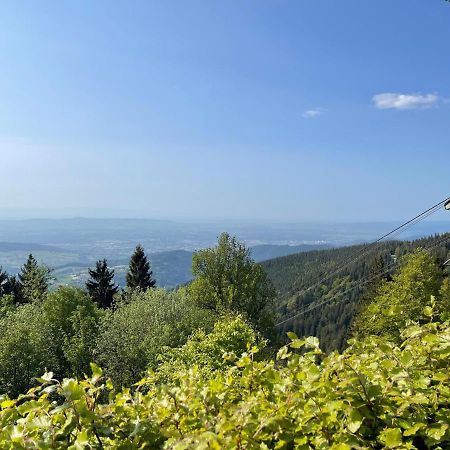 Neue Ferienwohnung Mit Whirlpool Und Sauna In Der Residenz Grafenmatt Inklusive Hochschwarzwaldcard Фельдберг Экстерьер фото